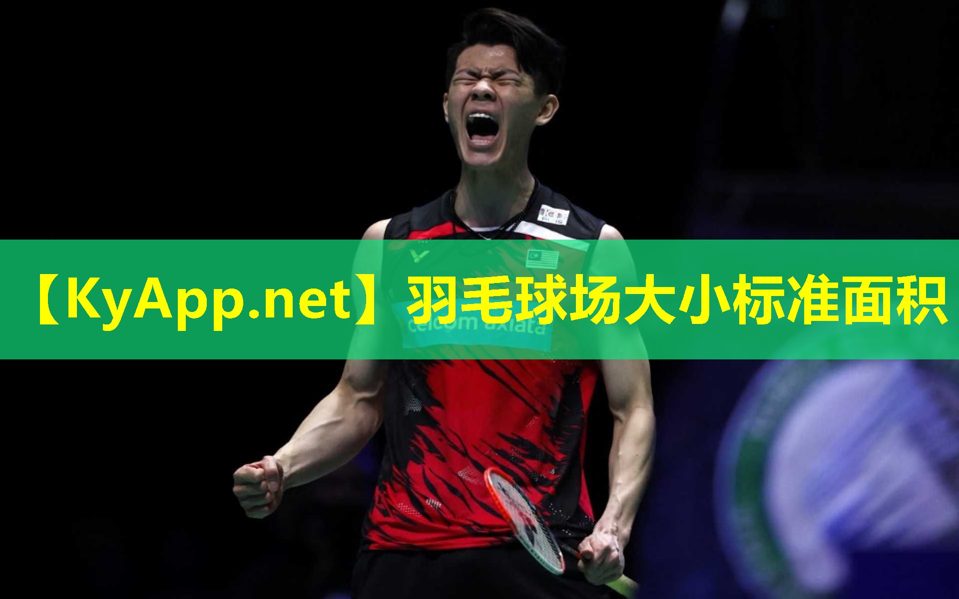 羽毛球场大小标准面积