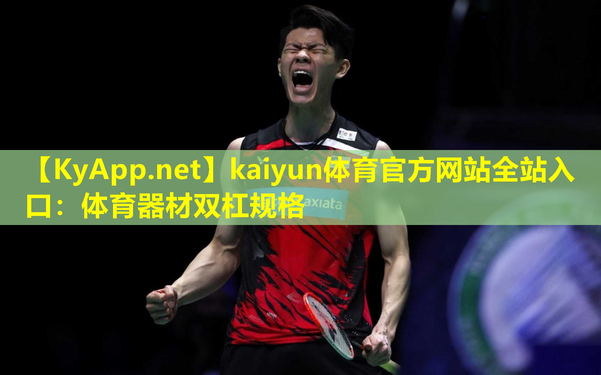 kaiyun体育官方网站全站入口：体育器材双杠规格
