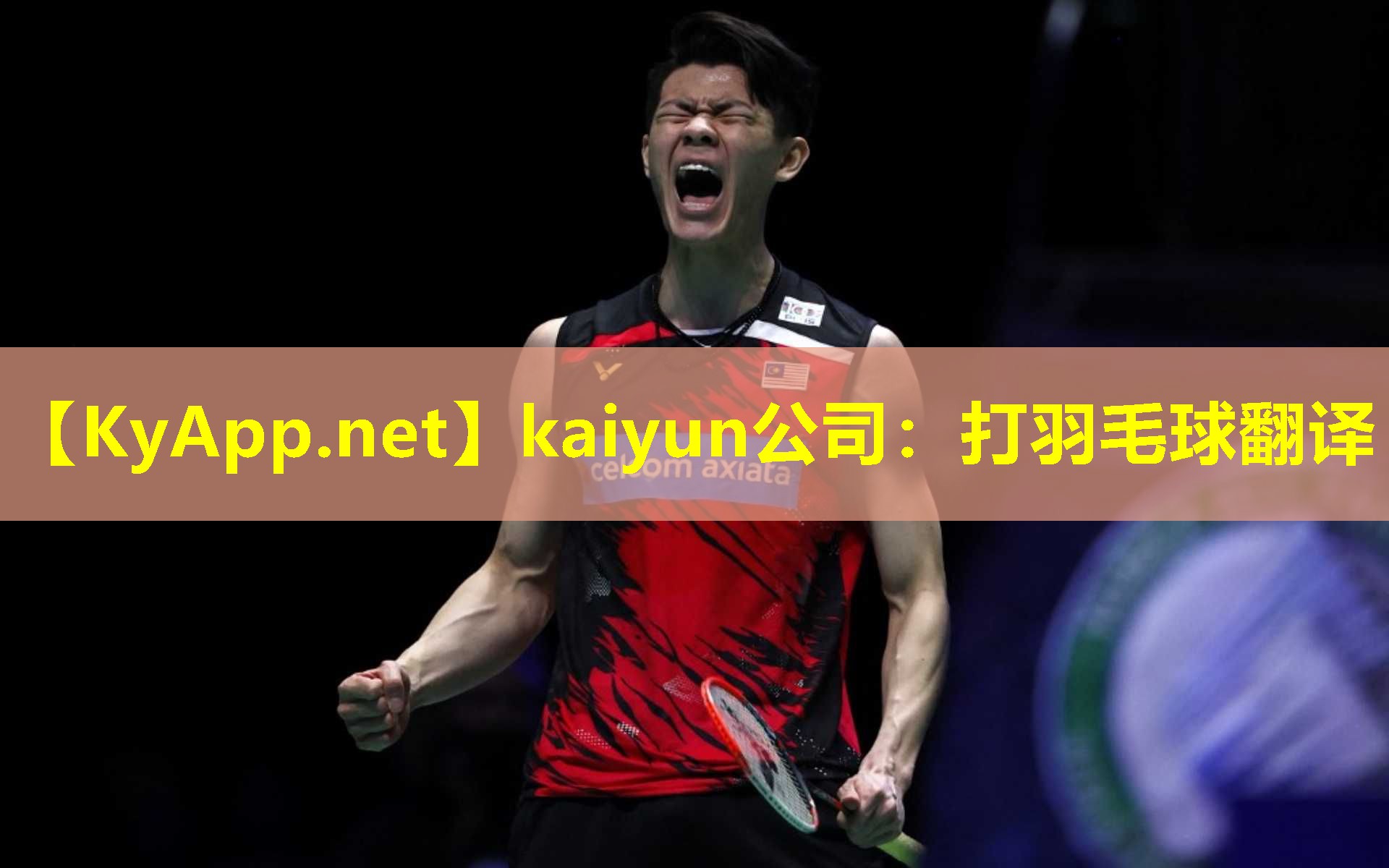 kaiyun公司：打羽毛球翻译