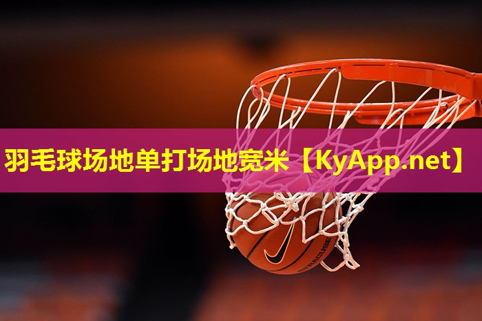羽毛球场地单打场地宽米
