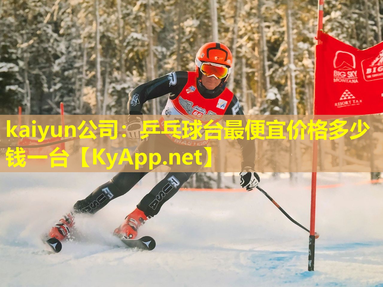 kaiyun公司：乒乓球台最便宜价格多少钱一台