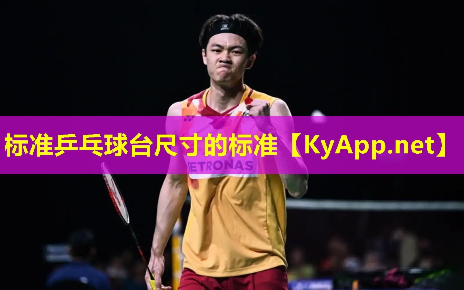 标准乒乓球台尺寸的标准 标准乒乓球台尺寸的标准
