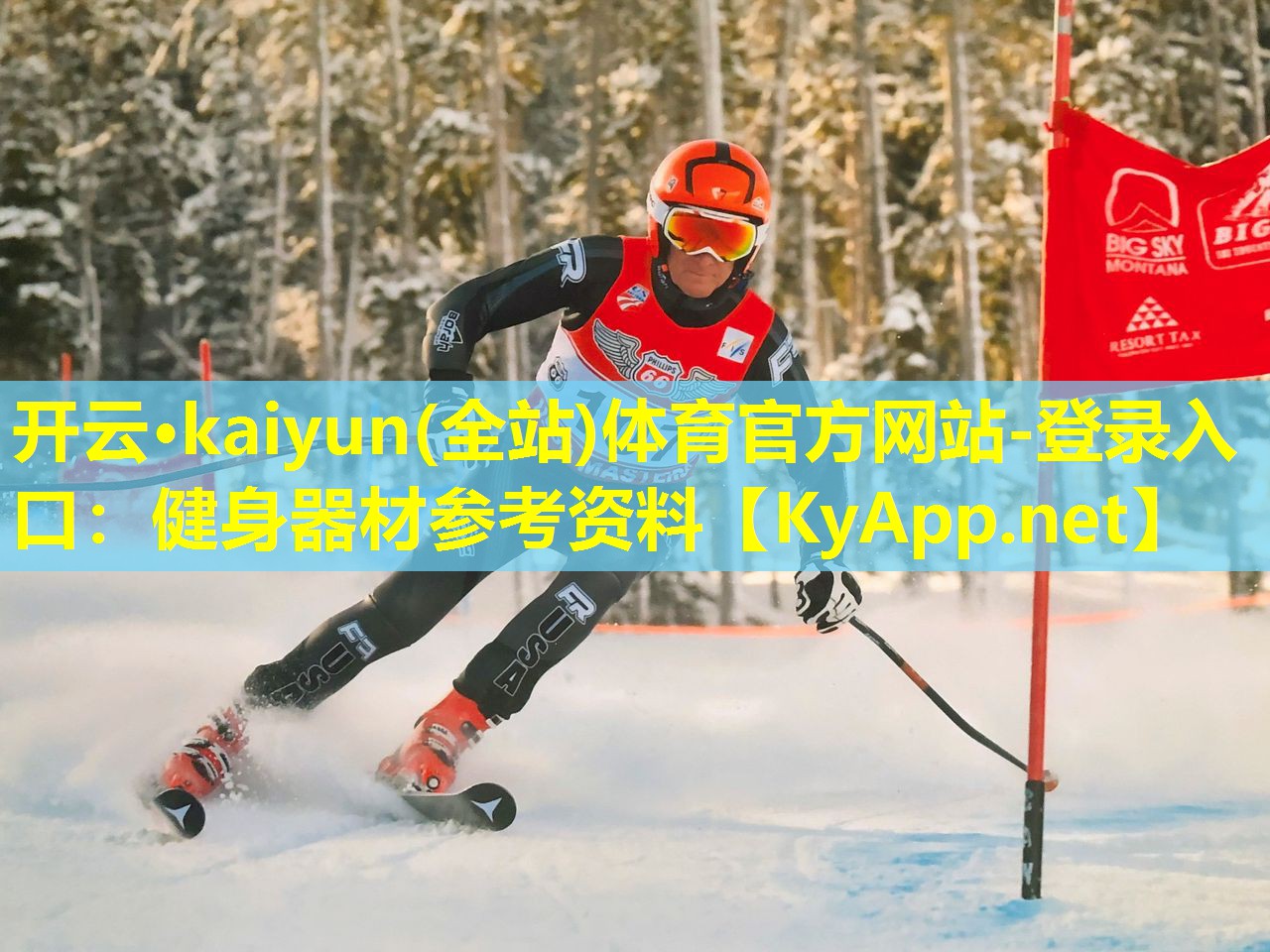 健身器材参考资料 健身器材参考资料