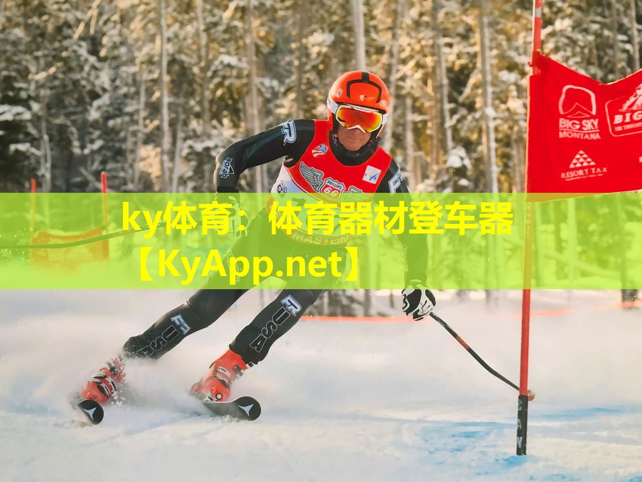 体育器材登车器 体育器材登车器