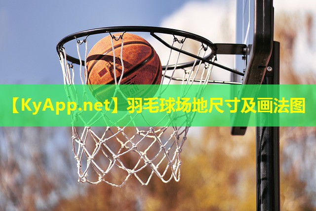 羽毛球场地尺寸及画法图 羽毛球场地尺寸及画法图