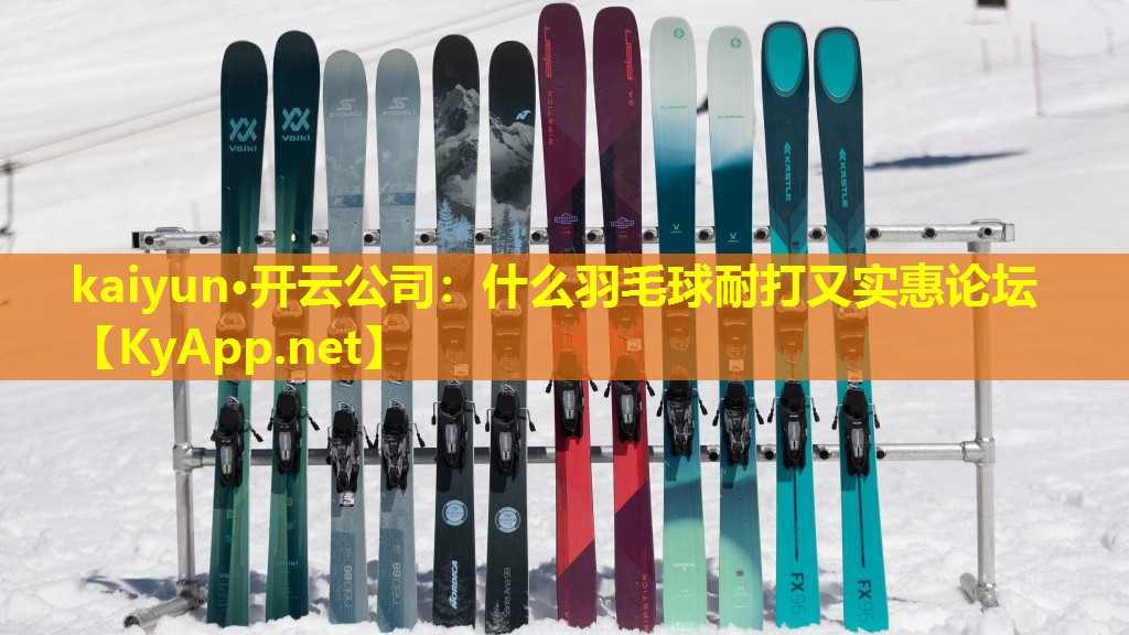 什么羽毛球耐打又实惠论坛