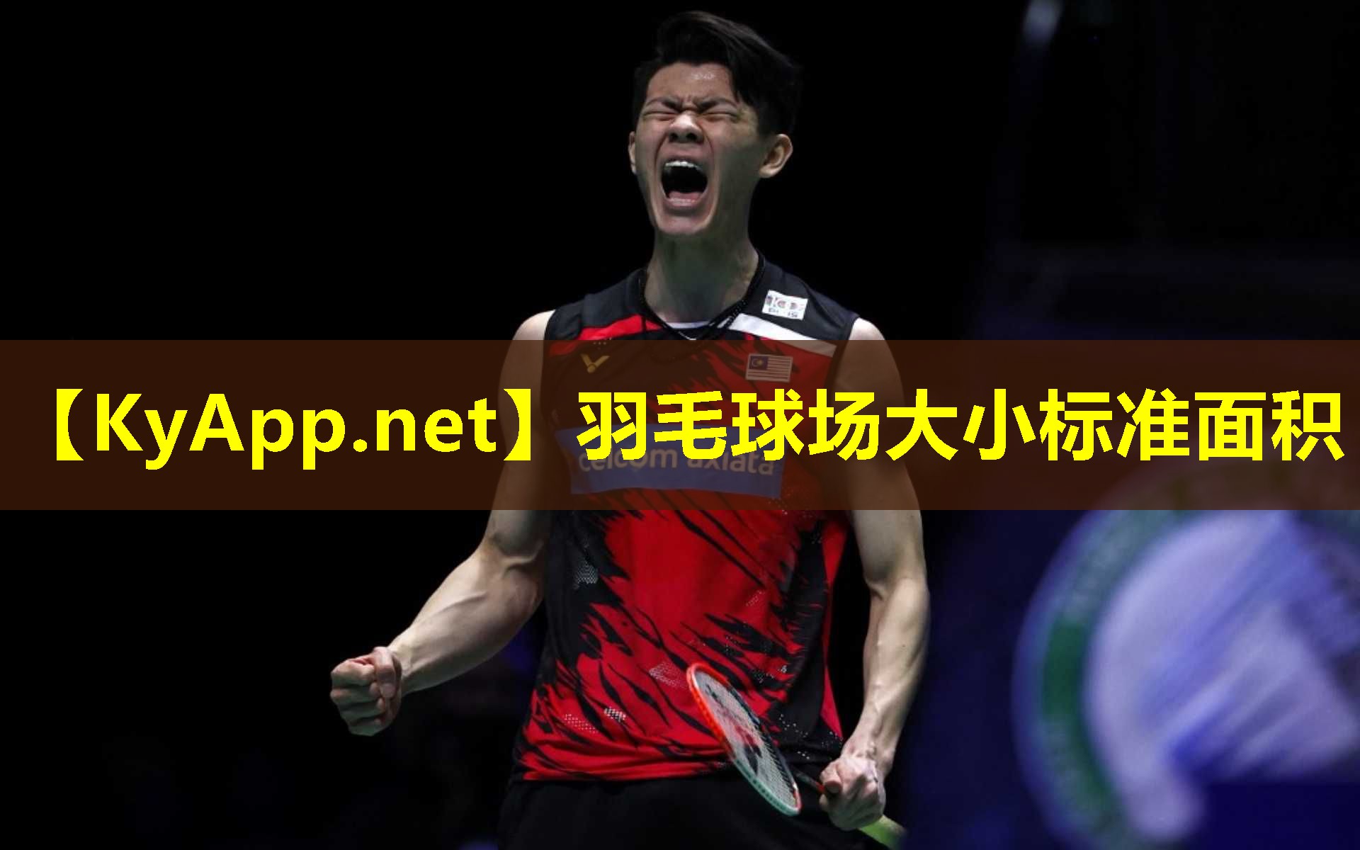 羽毛球场大小标准面积 羽毛球场大小标准面积