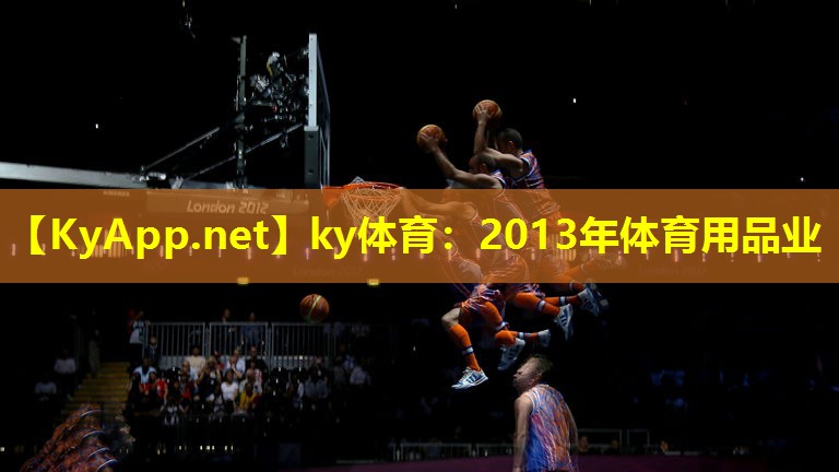2013年体育用品业 2013年体育用品业