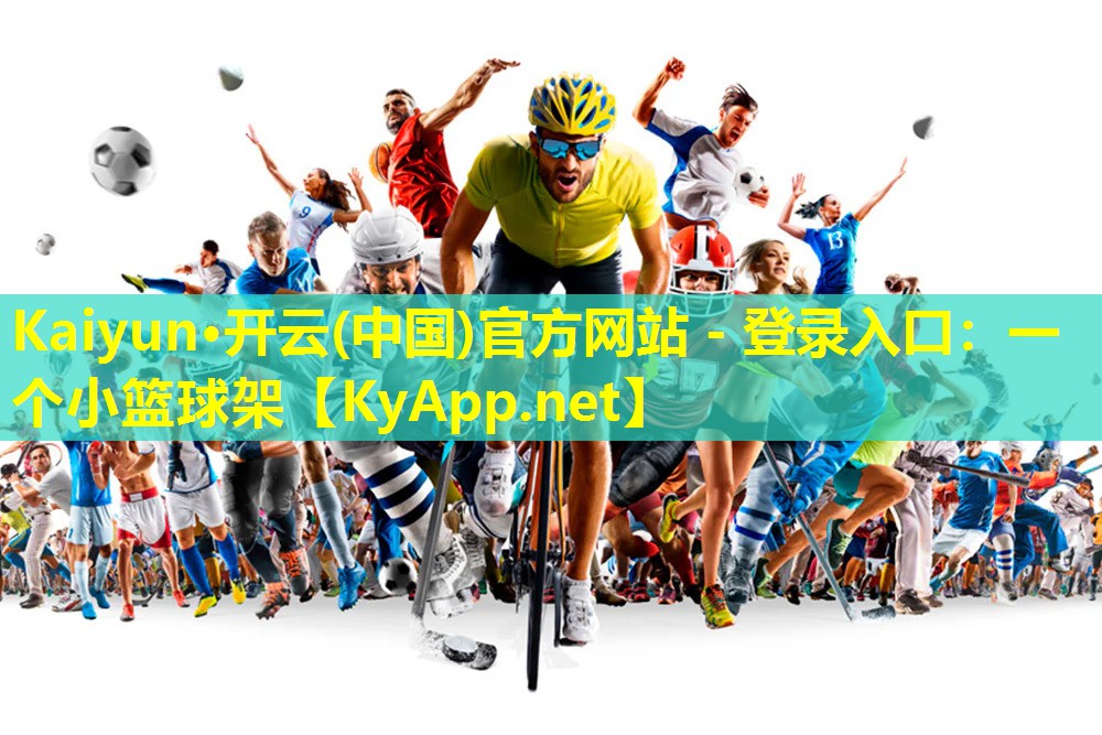 一个小篮球架 一个小篮球架