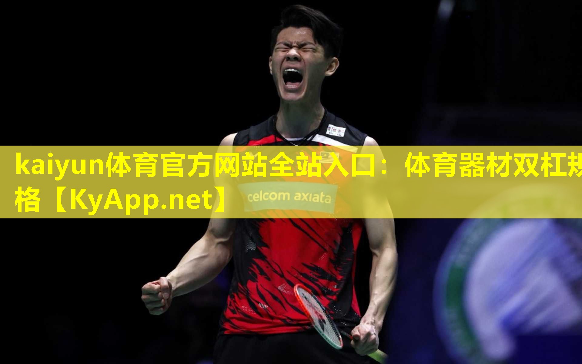 体育器材双杠规格 体育器材双杠规格