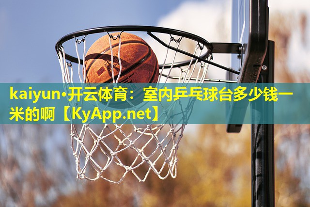 室内乒乓球台多少钱一米的啊 室内乒乓球台多少钱一米的啊