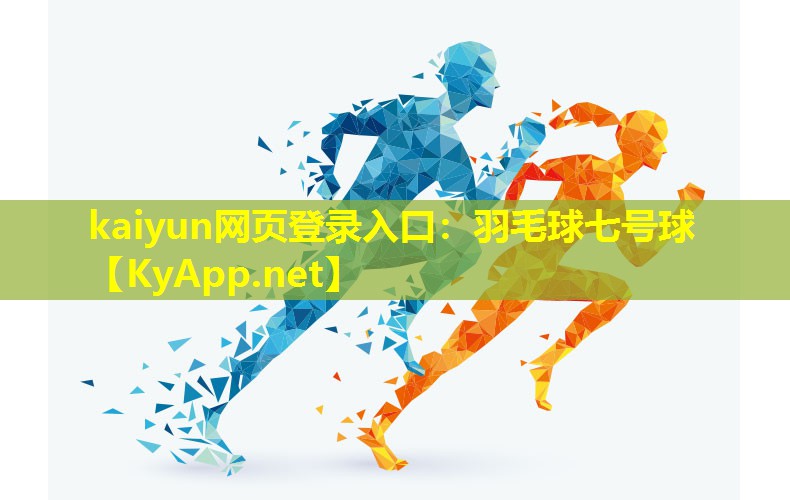 羽毛球七号球 羽毛球七号球