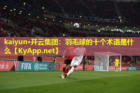 羽毛球的十个术语是什么