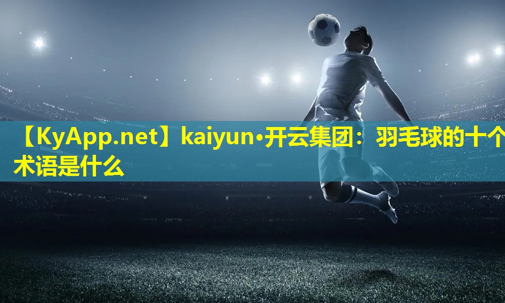 羽毛球的十个术语是什么