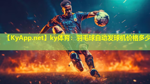 羽毛球自动发球机价格多少 羽毛球自动发球机价格多少